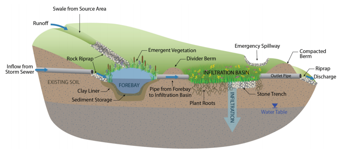 Example of Infiltration Basin