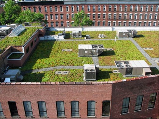 Image of Green Roofs