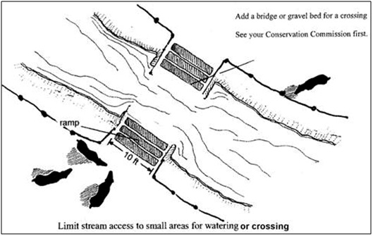 Image of stream crossing