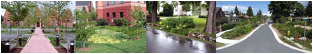 Image of rain gardens