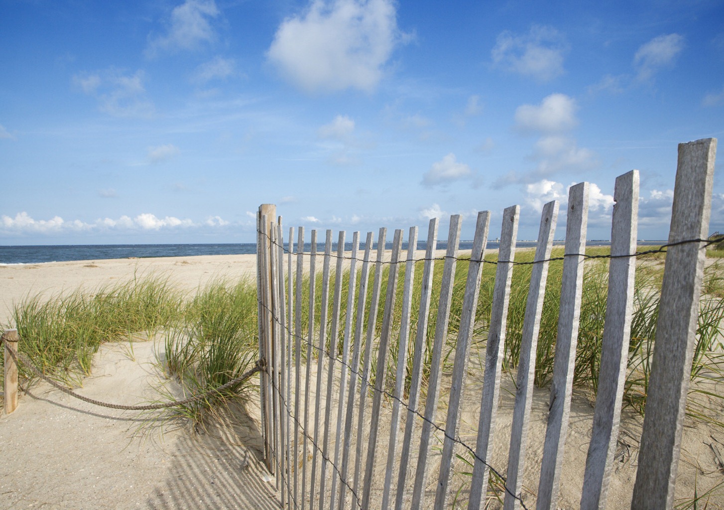 Image of Sand Fence