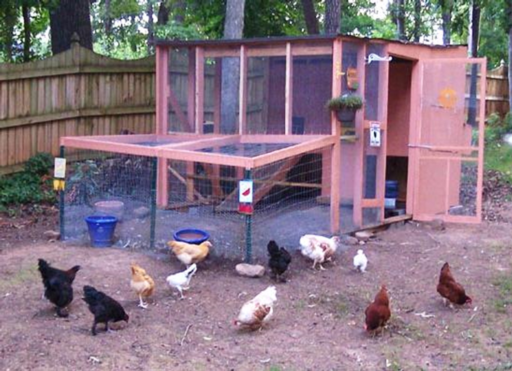 Image of a chicken coop