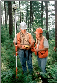 Image of forestry
