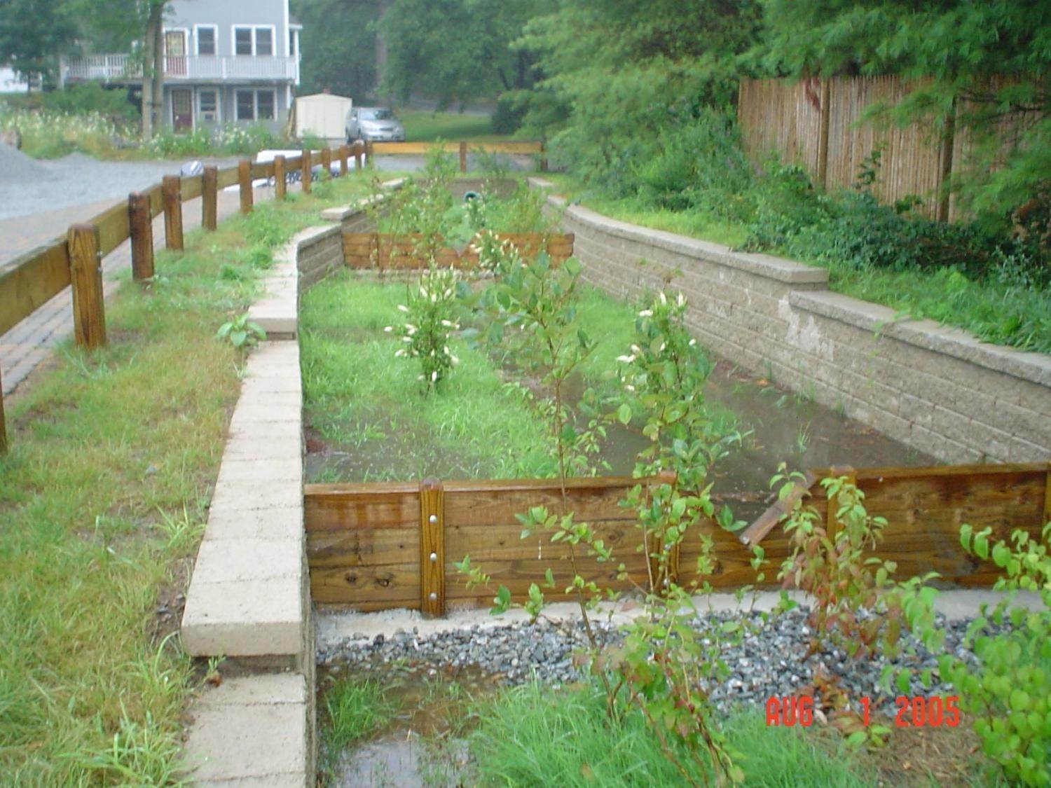 Image of a stream daylighting project
